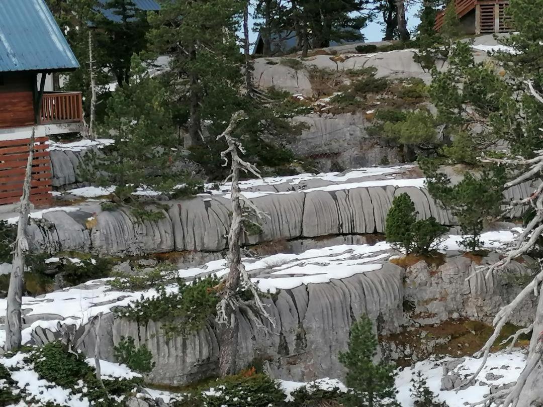 Apartment Montagne A La Pierre St Martin